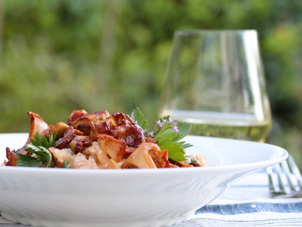 Classic Chanterelle Mushroom Risotto Edible Vancouver Island